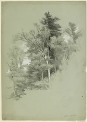 Étude d